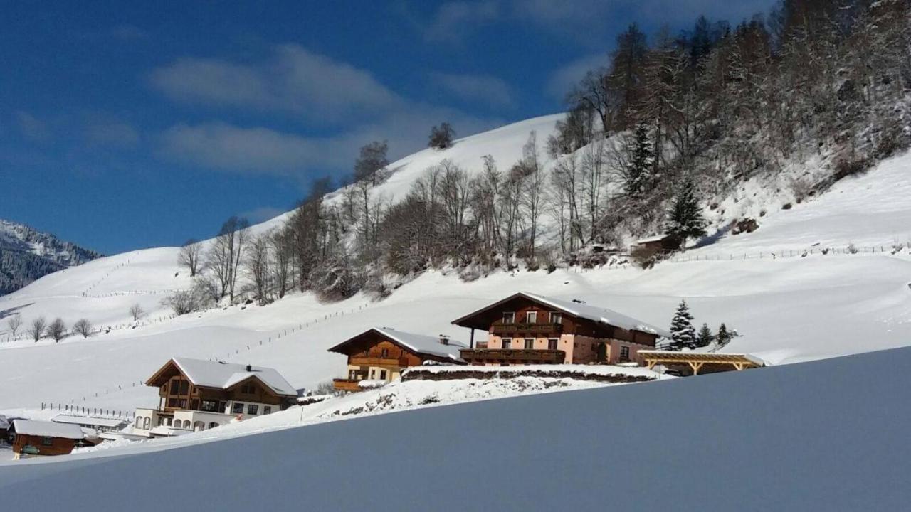 Gaestehaus Hagenhofer Leilighet Dorfgastein Eksteriør bilde